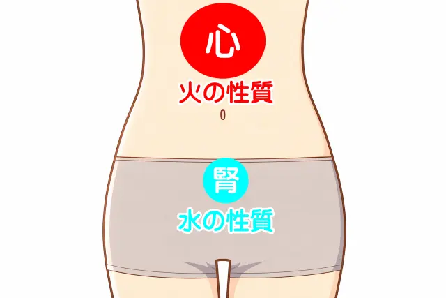 腹診による心と腎の関係を示した図