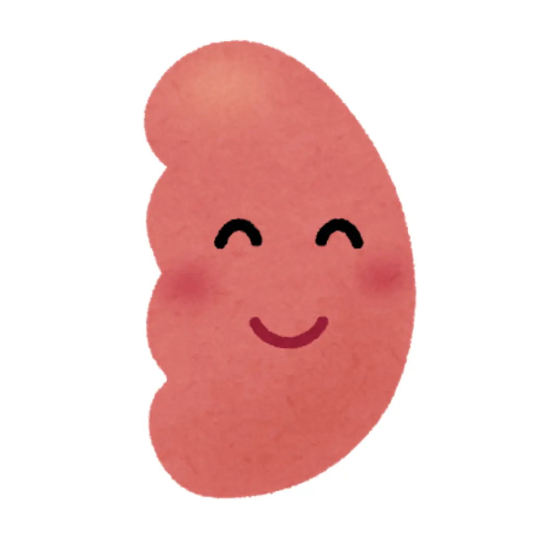 東洋医学で考える「脾」を表したイラスト