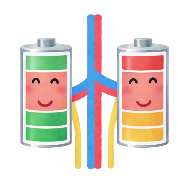 腎を生命力のバッテリーとして表したイラスト
