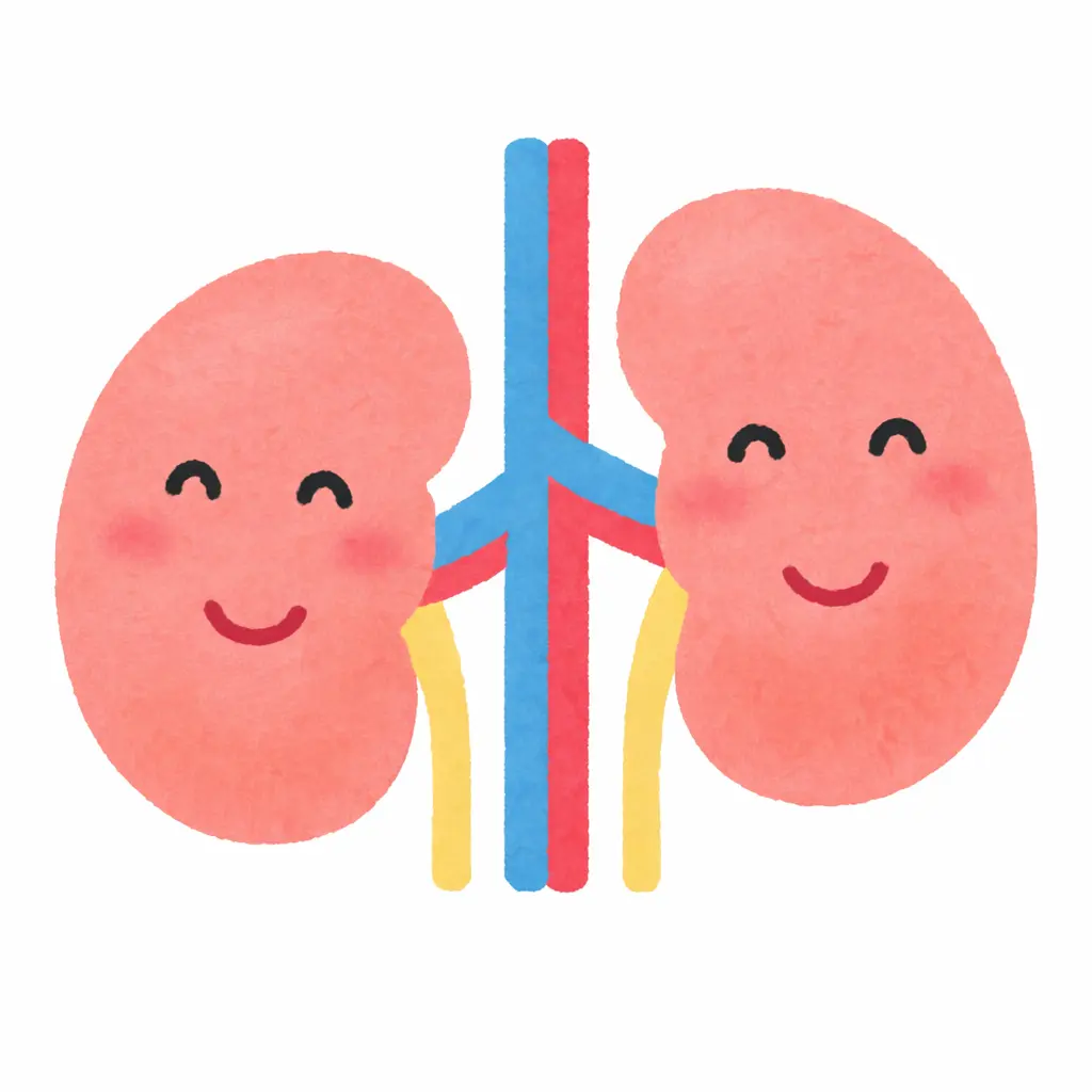 東洋医学で考える腎の働きと体調不良の関係を解説したイメージ