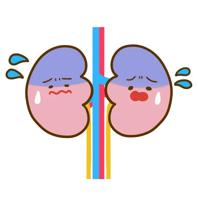 腎が疲れている図