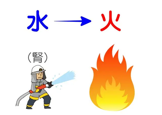 腎の水が炎症（火）を鎮める図