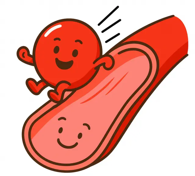 滑脈(かつみゃく)のイメージを表したイラスト