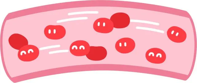 心の働きによる血流を説明する図