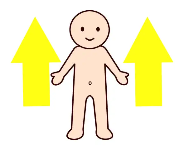 栄養やエネルギーが上に運ばれる様子を図で表したイラスト