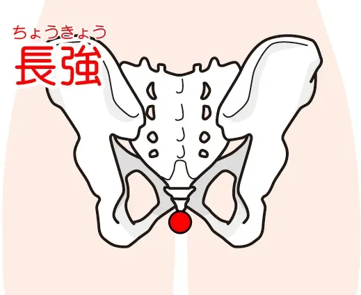 痔の症状で補助的に使われるツボ「長強」の位置を示した図