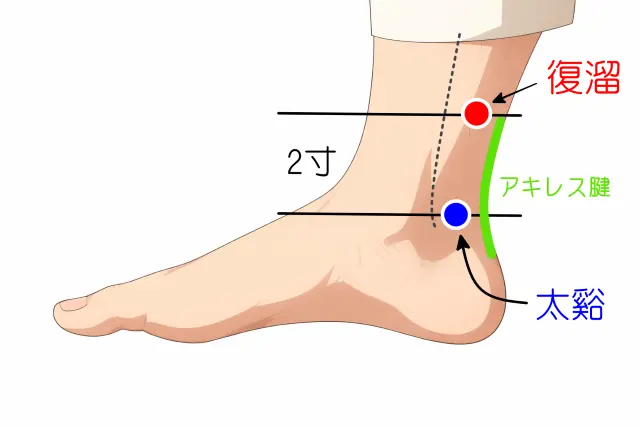 腎虚に使われる復溜の位置を示した図