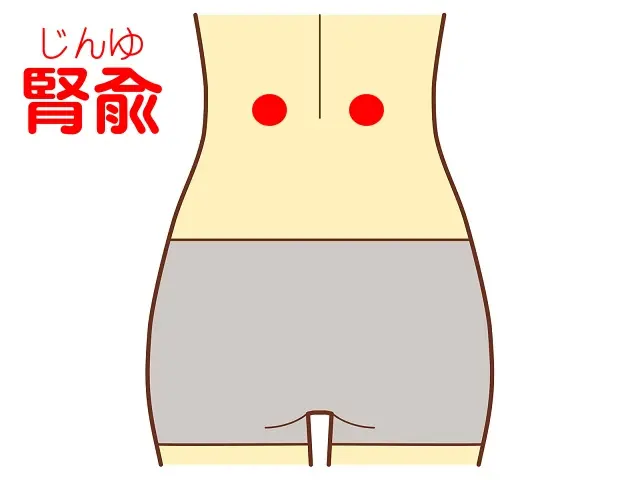 腎虚を見つける腎兪のツボの位置