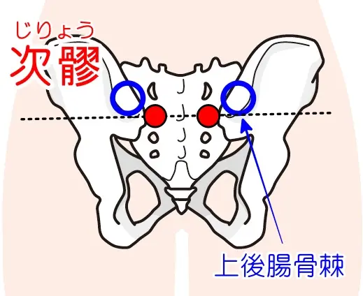痔の症状で補助的に使われるツボ「次髎」の位置を示した図