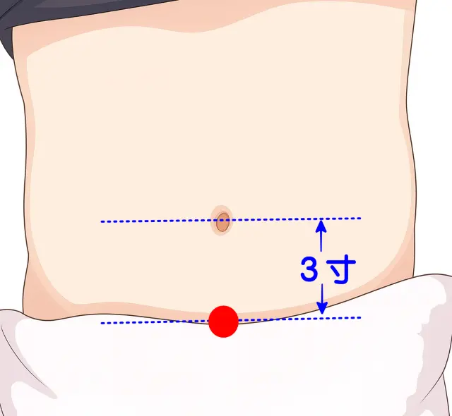 下腹部にある関元の正確な位置
