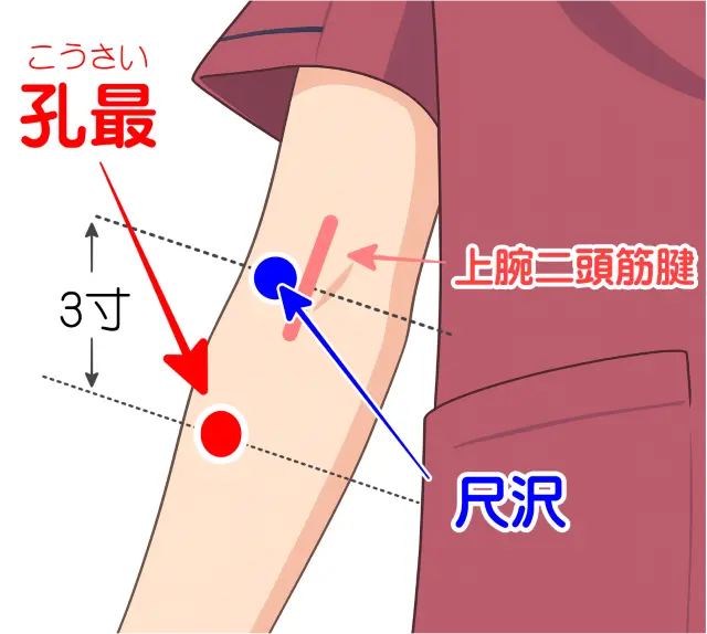 痔の痛みや出血に使われるツボ「孔最」の位置を示した図