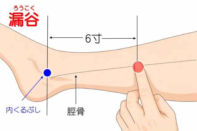 痔の出血に使われるツボ「漏谷」の位置を示した図