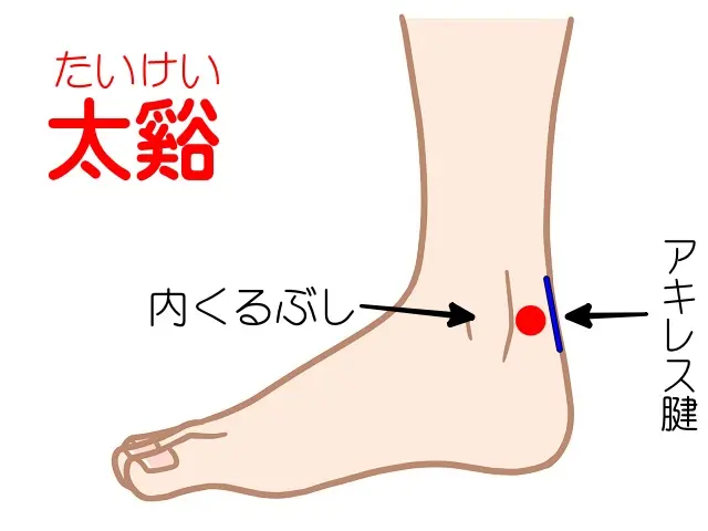腎虚の判断材料となる太谿(たいけい)のツボ位置