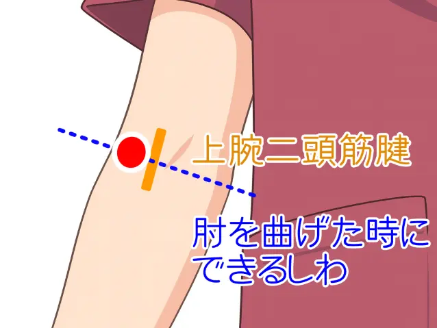 尺沢のツボの取り方の図