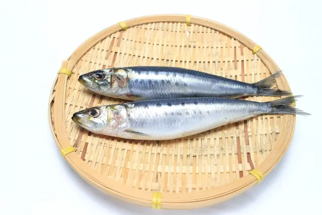 瘀血(おけつ)の食事解説に用いる青魚