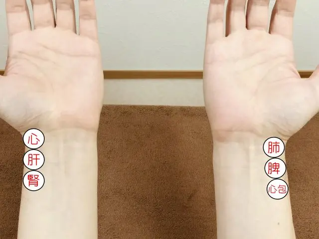 脈診によって腎虚の状態を確認する際のポイント
