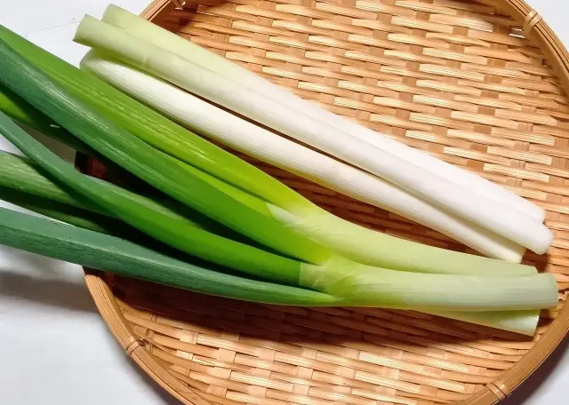 瘀血(おけつ)の食事解説に用いるねぎ