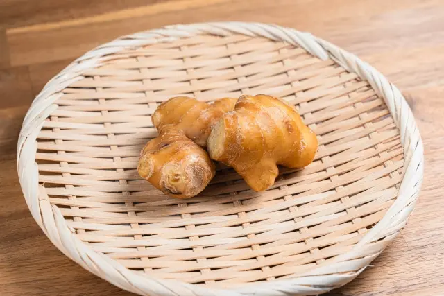 瘀血(おけつ)の食事解説に用いる生姜(しょうが)
