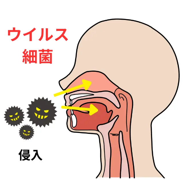 ウイルスや細菌が喉に侵入するイラスト