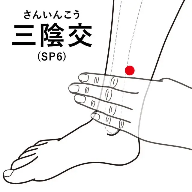 三陰交の詳細の位置を示す図