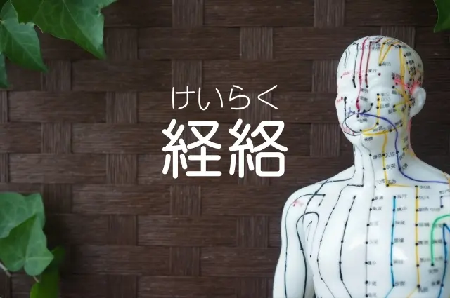 経絡の流れを示す図