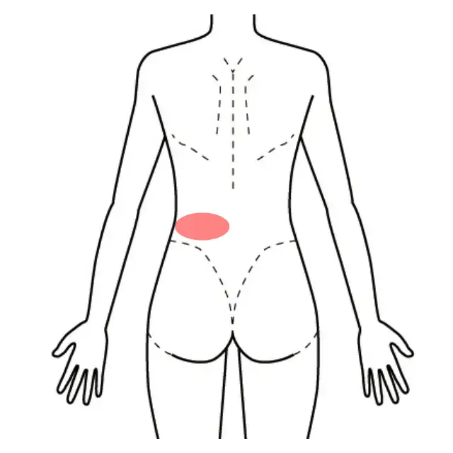 左腰から脇腹の痛みの範囲を示した後面の人体図