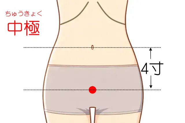 中極の位置を示す人体図
