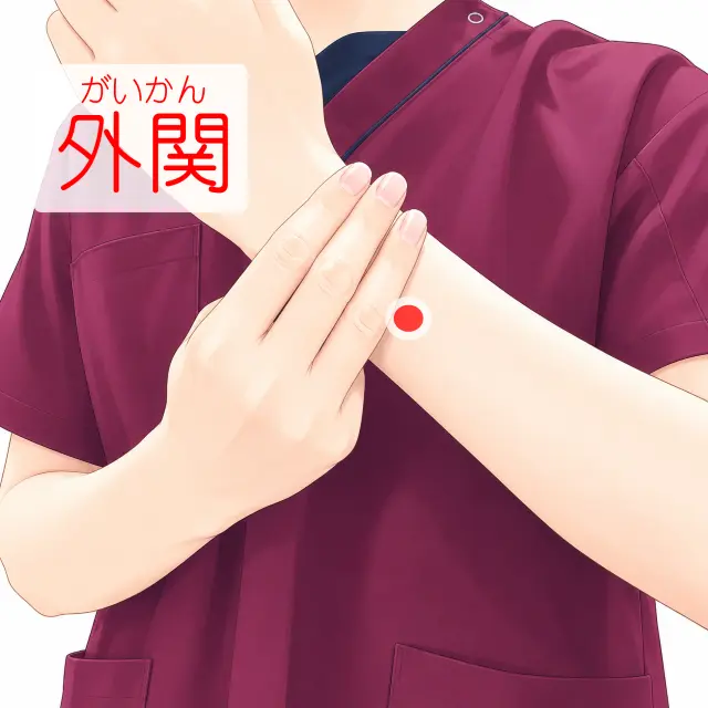 外関の位置を示す人体図