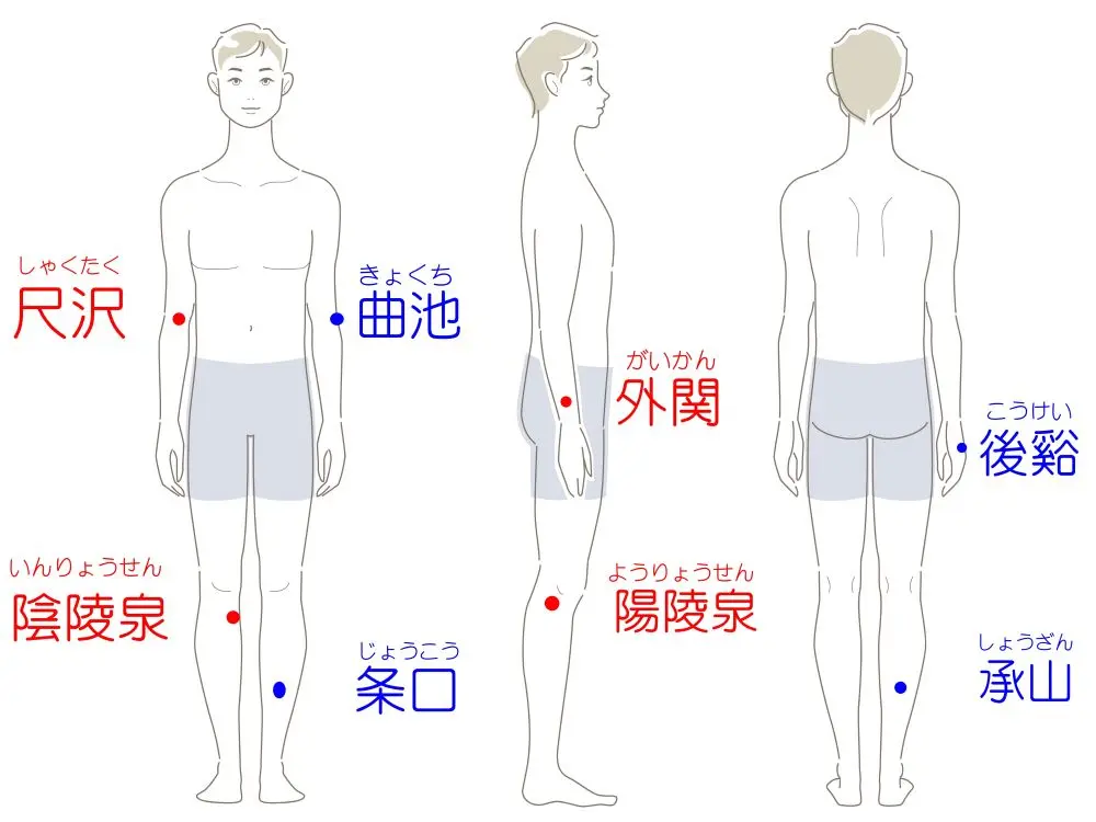 五十肩で使用するツボ一覧