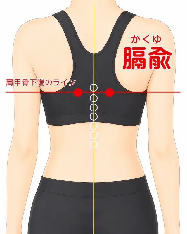 膈兪の位置を示す図