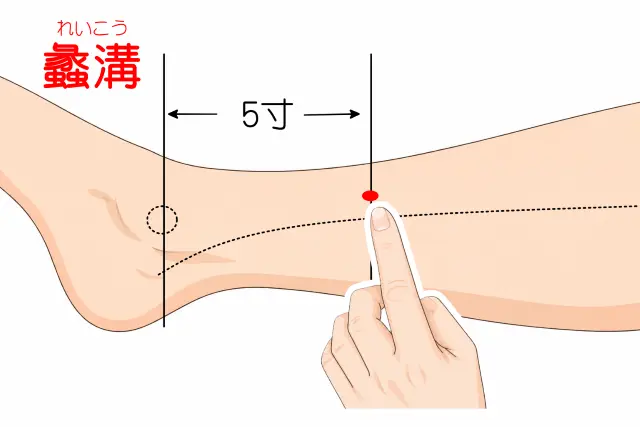 蠡溝の位置を示す人体図