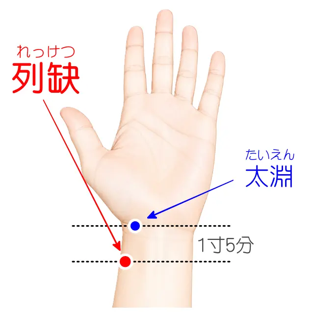 列缺の位置を示す人体図