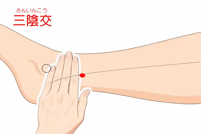 三陰交の位置を示す人体図