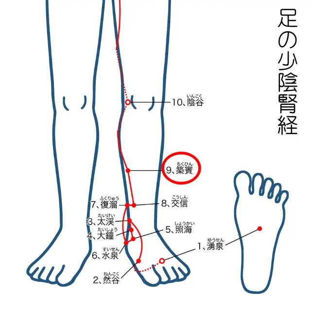 足の少陰腎経の流れを示す人体図