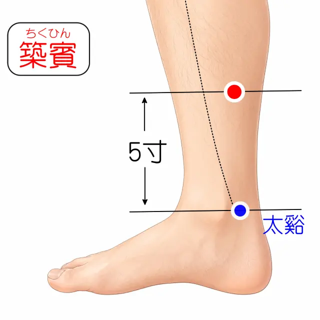 築賓の位置を示す人体図
