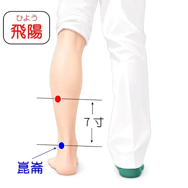 飛陽の位置を示す人体図