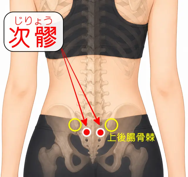 次髎の位置を示した人体図