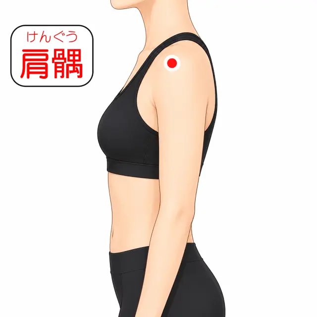 肩髃の位置を示す人体図