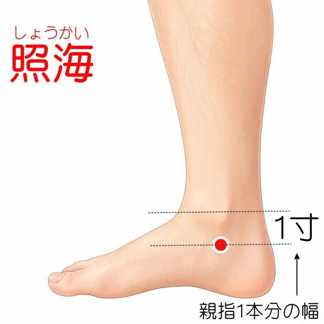 照海の位置を示した人体図