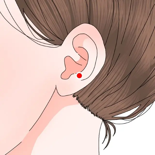 めまい点の位置を示す耳のイラスト